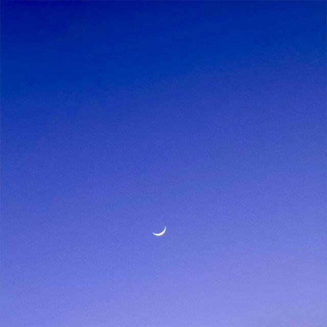 hypnagogia IV