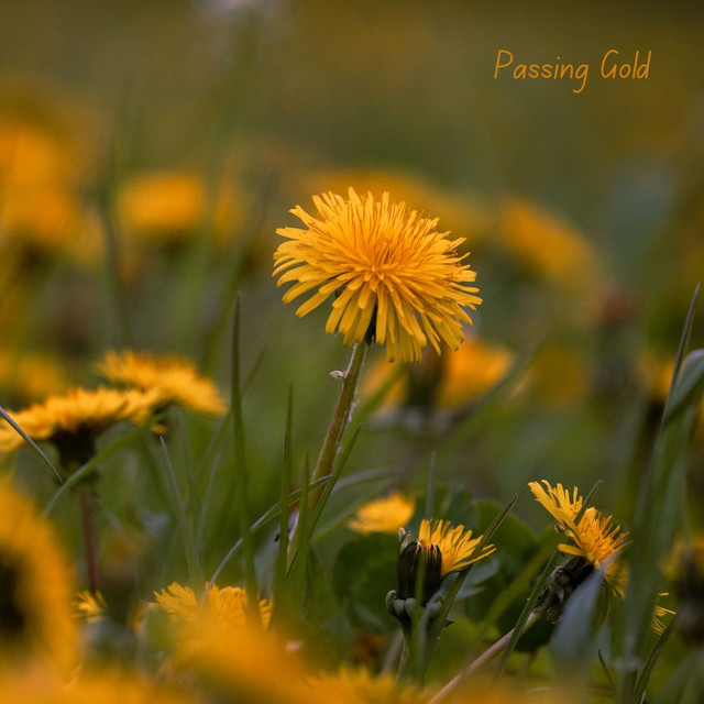 Passing Gold