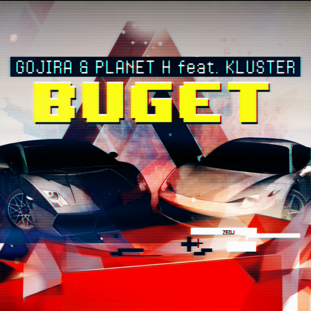 Buget cover