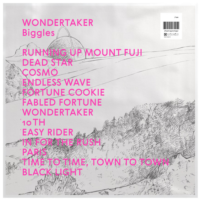 Wondertaker cover art