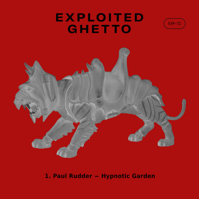 Hypnotic Garden album art