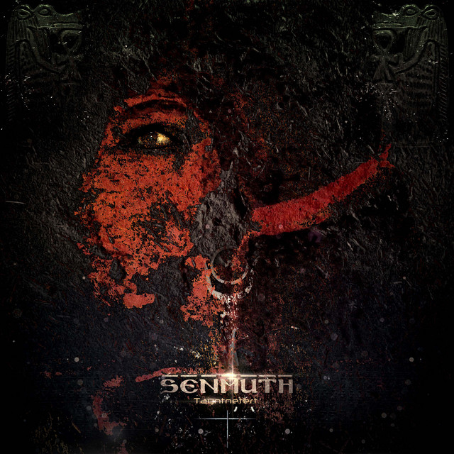 Tayntnetert cover