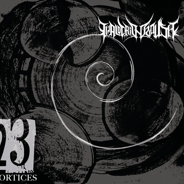 23 Vortices cover art