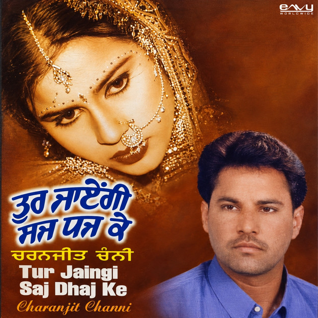 Tur Jaingi Saj Dhaj Ke album image