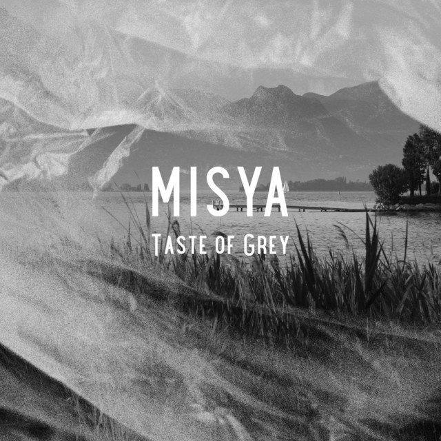 Taste of Grey cover art