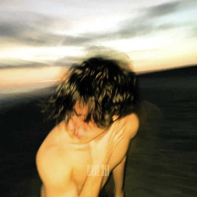 Dove sei cover art