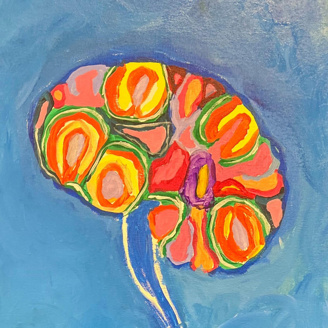 Nucleus Accumbens