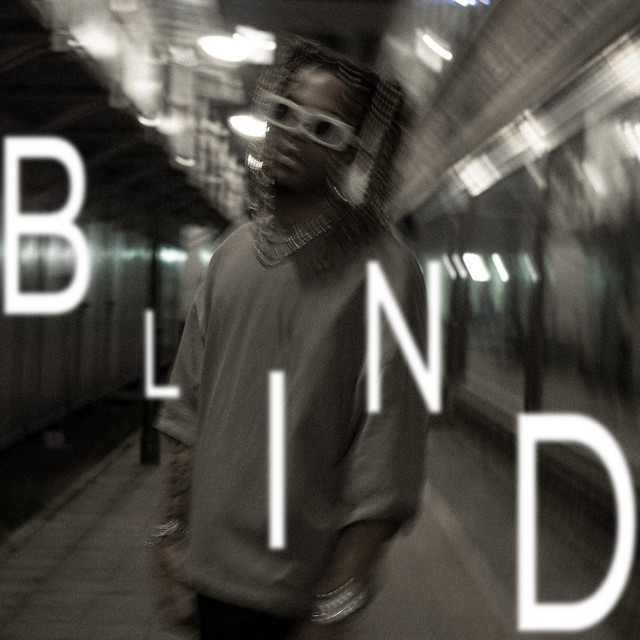 BLIND cover