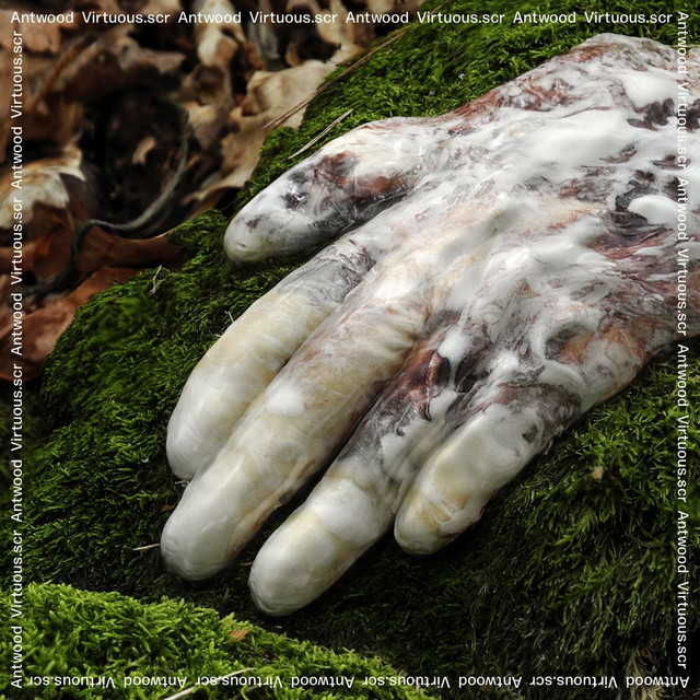 Virtuous.scr cover art