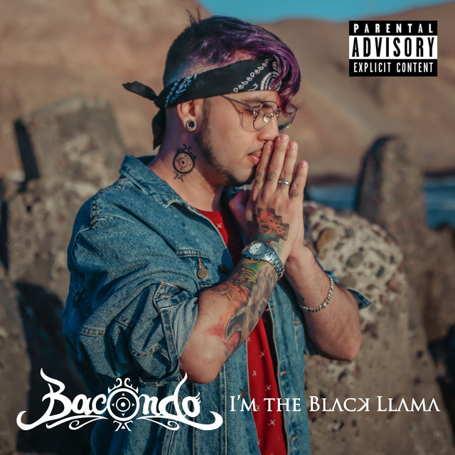 I'm The Black Llama cover art