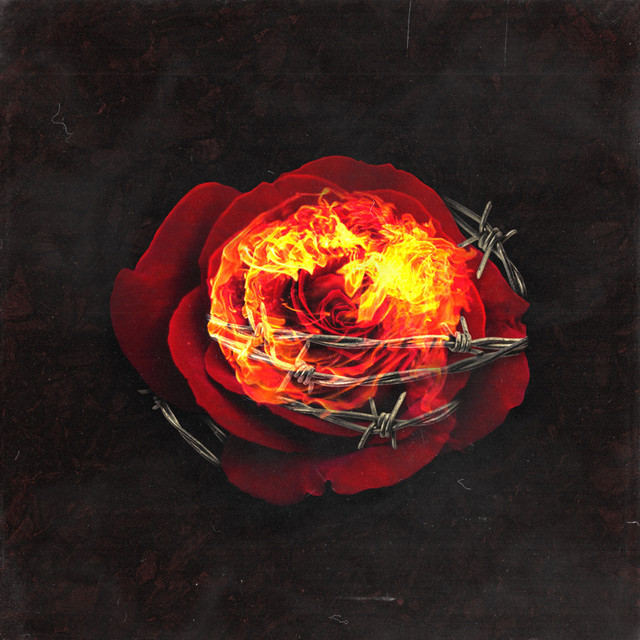 Enough cover art