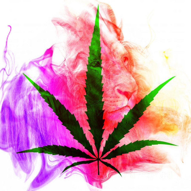 Reggae Smokin Chill 420