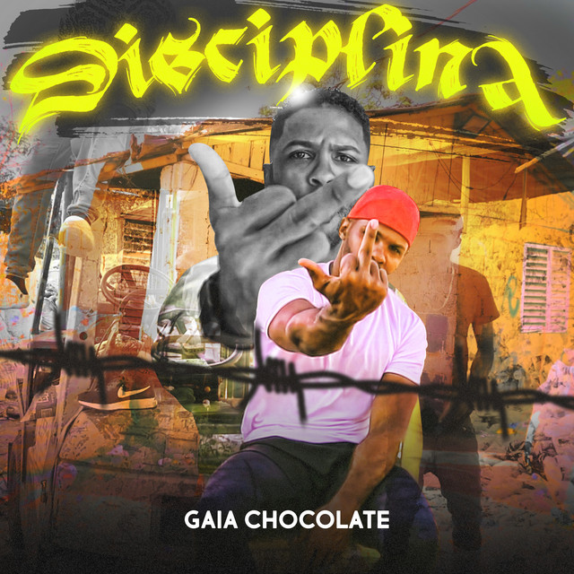 Disciplina