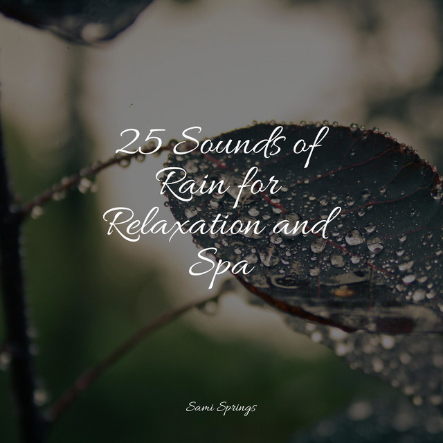 25 Sounds of Rain for Relaxation and Spa - Album by White Noise Babies ...