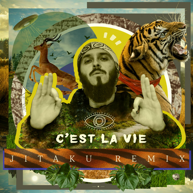 C'est la Vie - Jitaku Remix