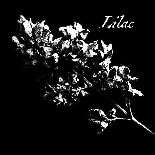 Lilac cover art
