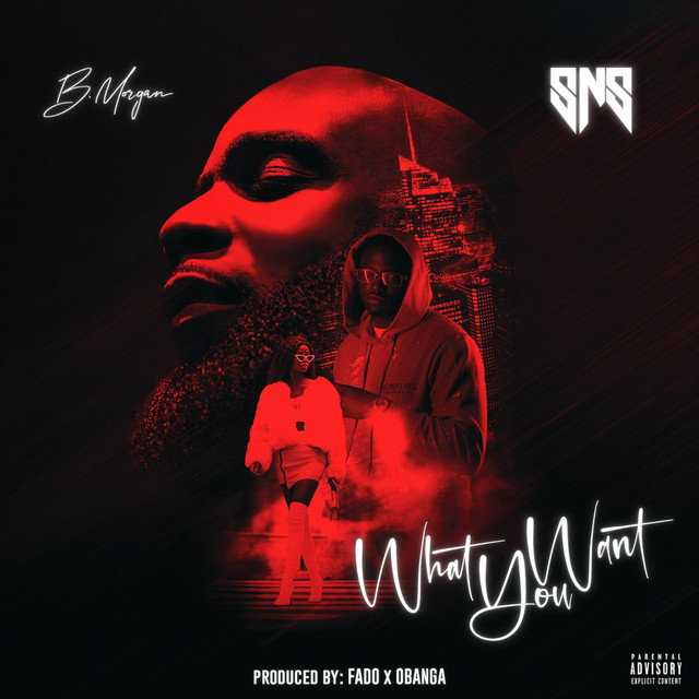 What You Want (feat. SNS)