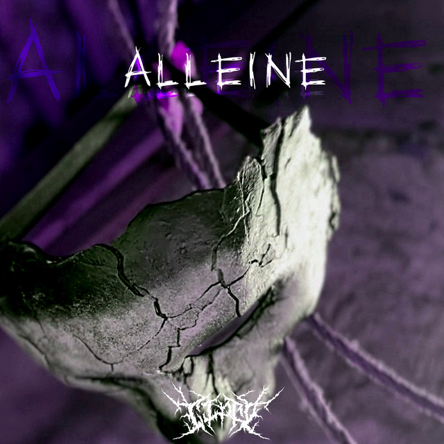 Alleine cover
