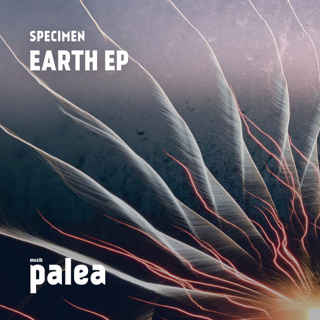 Earth cover art