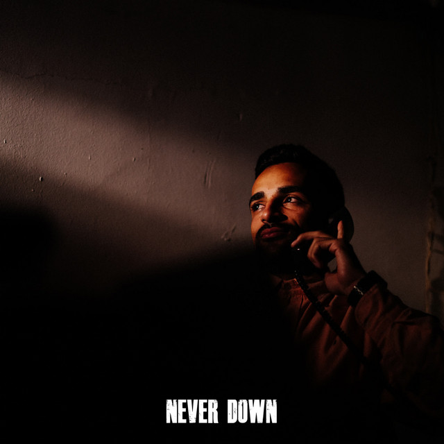 Never Down cover art