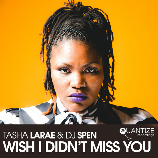 Wish I Didn't Miss You - Main Vocal Mix