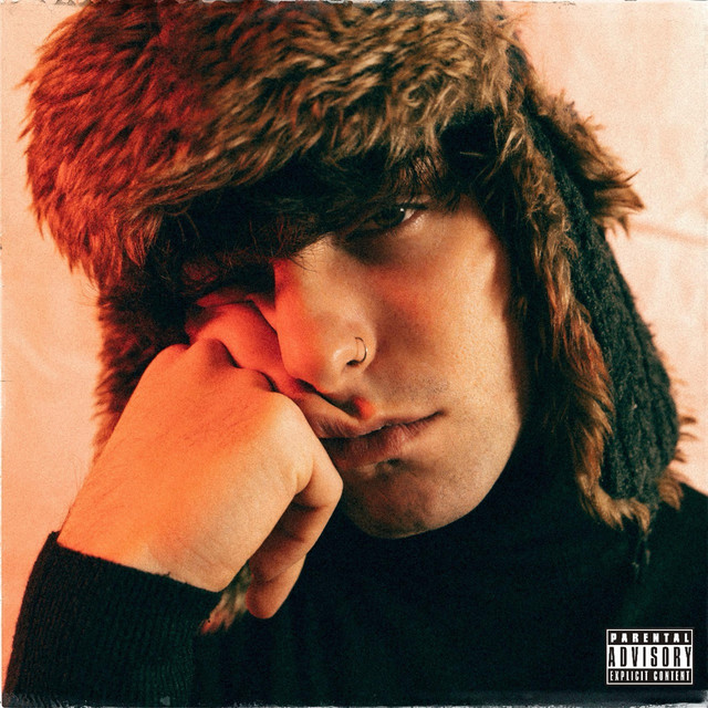 Problems cover art
