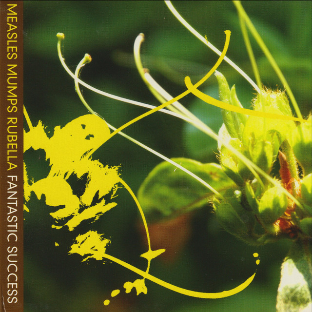 Fantastic Success cover art
