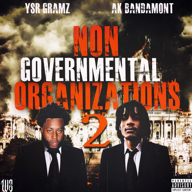 Non Governmental Organizations