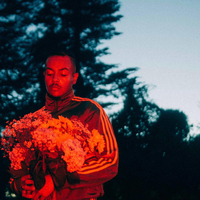 Vacation cover art