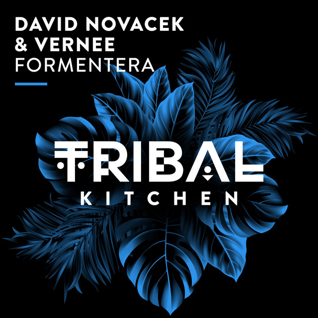 Formentera - Extended Mix album art