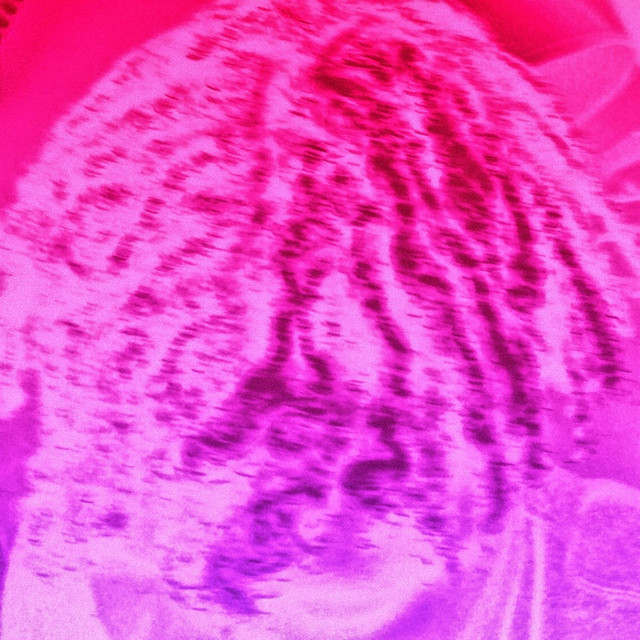 2888 cover art