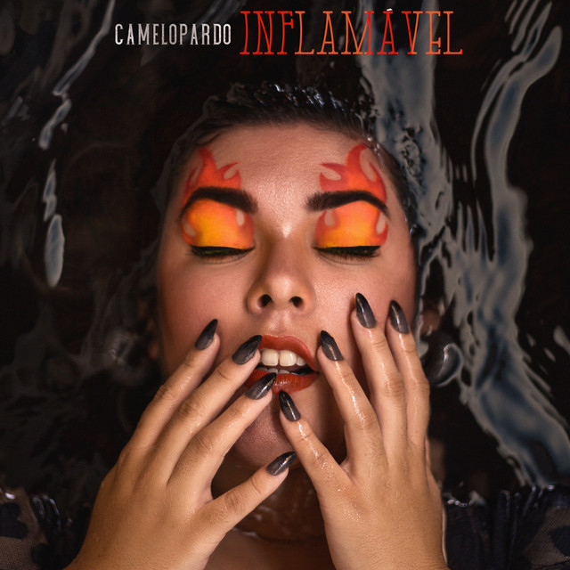 Inflamável cover art