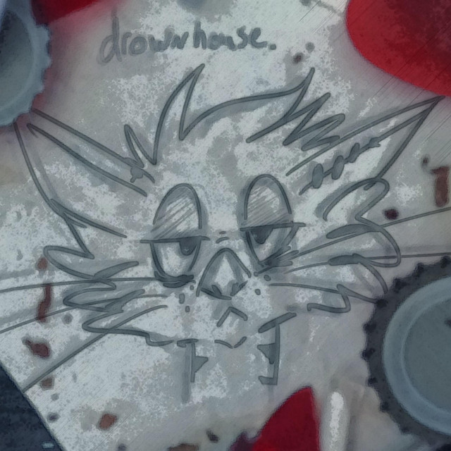 Drownhouse cover art