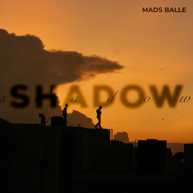 Shadow cover art