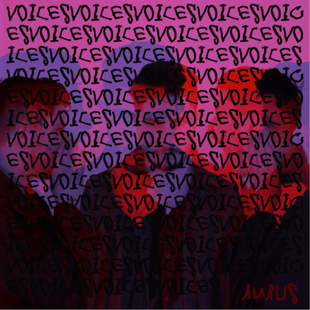 Voices cover art