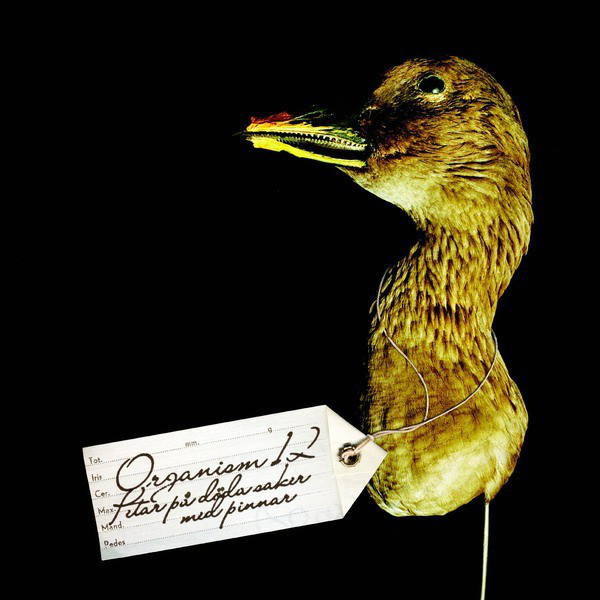 Petar På Döda Saker Med Pinnar cover art