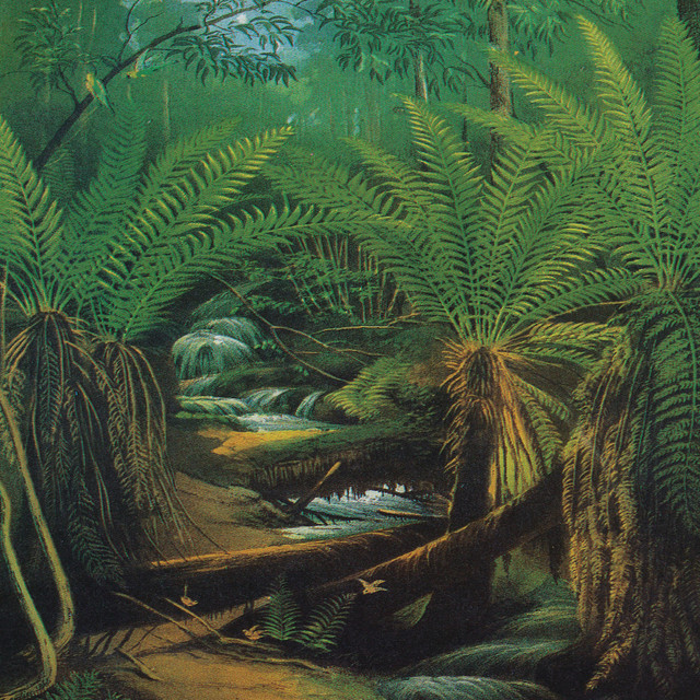 Big Grass cover art