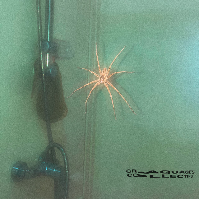 p0g0 cover