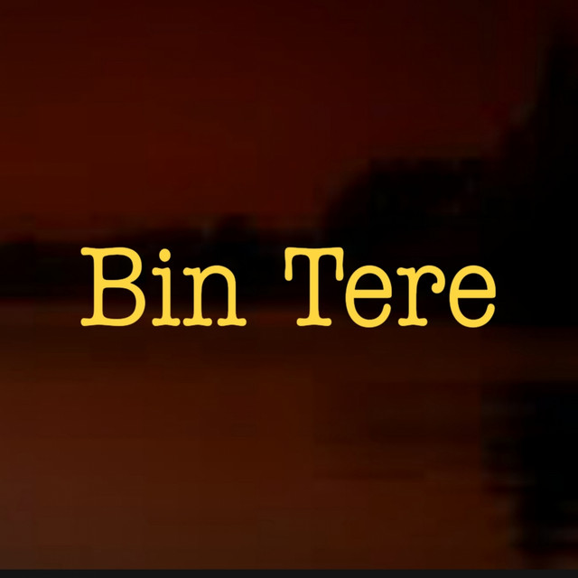 Bin Tere cover