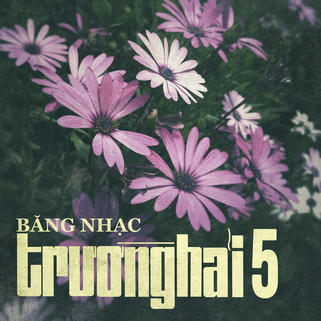 Trường Hải 05 - Tiếng Hát Thanh Thúy cover art