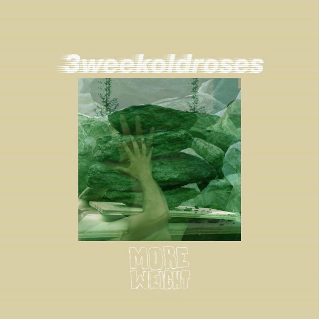 More Weight cover art