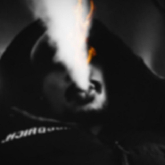 V4R!3TY cover art