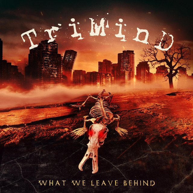 What We Leave Behind cover art