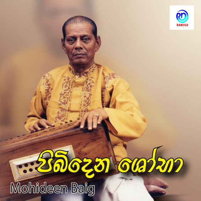 Pibidena Shoba cover art