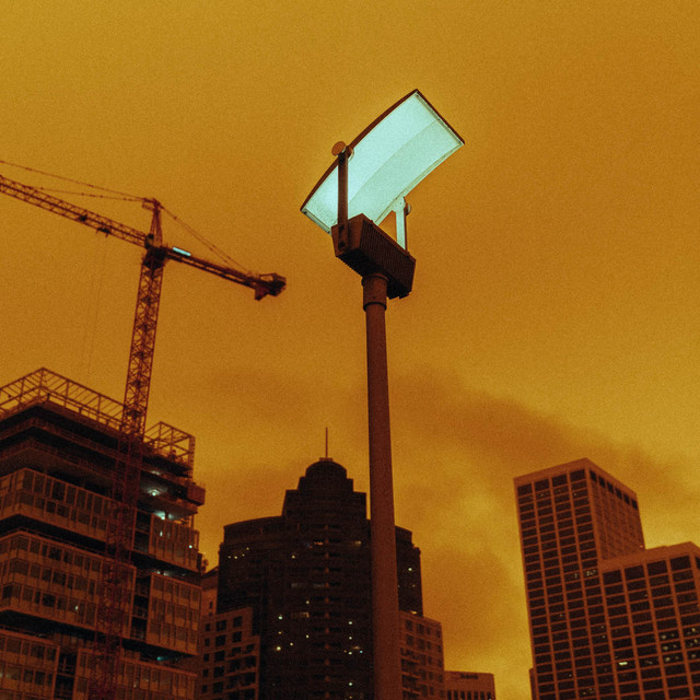 Everyone cover art