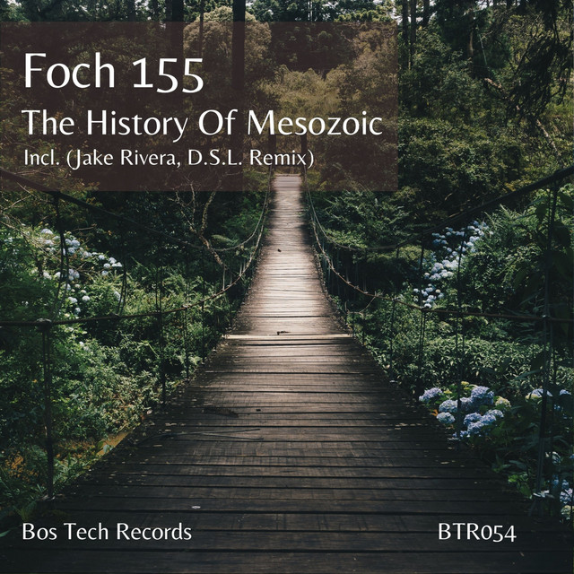The History of Mesozoic - D.S.L. Remix cover art