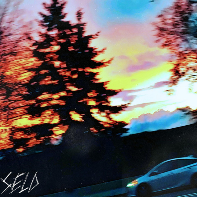 SWERVING cover art