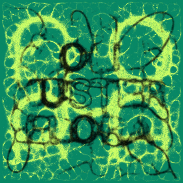 Flora cover art