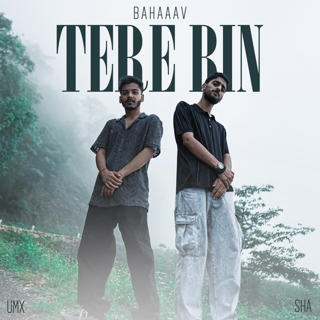 Tere Bin