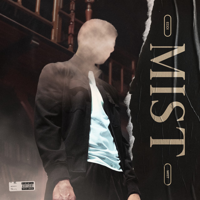 Mist cover art